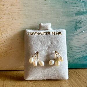 Freshwater Pearl and gold stud earrings NEW